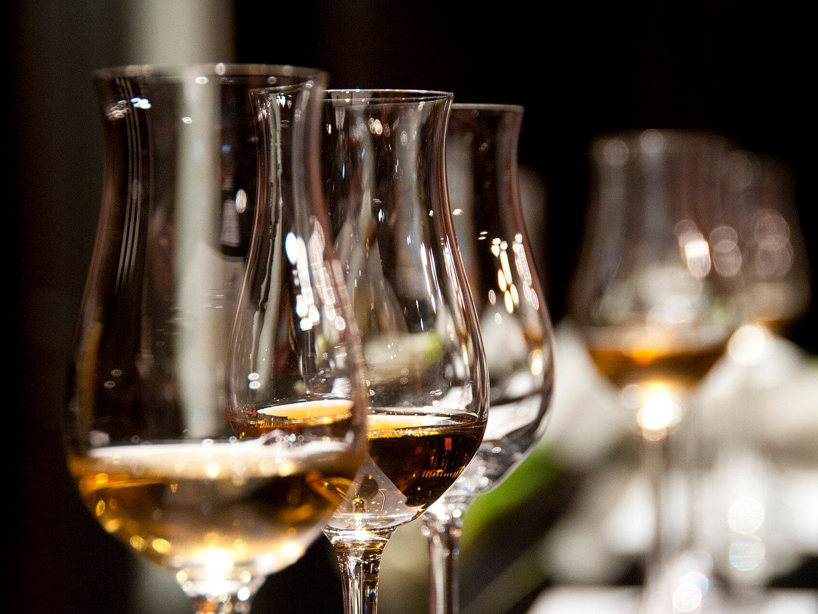 Riadená degustácia v pivnici